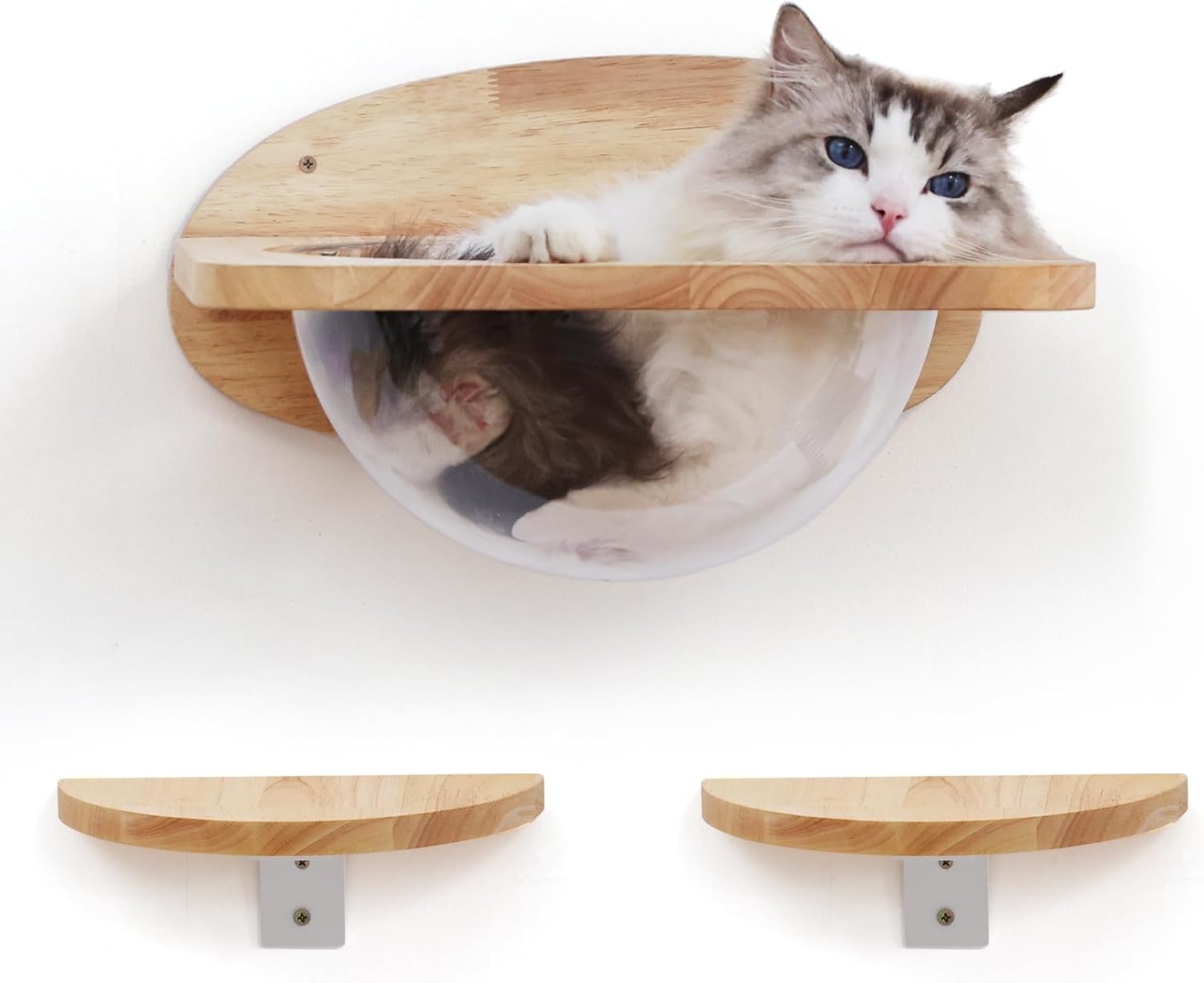 Parede de escalada para gatos