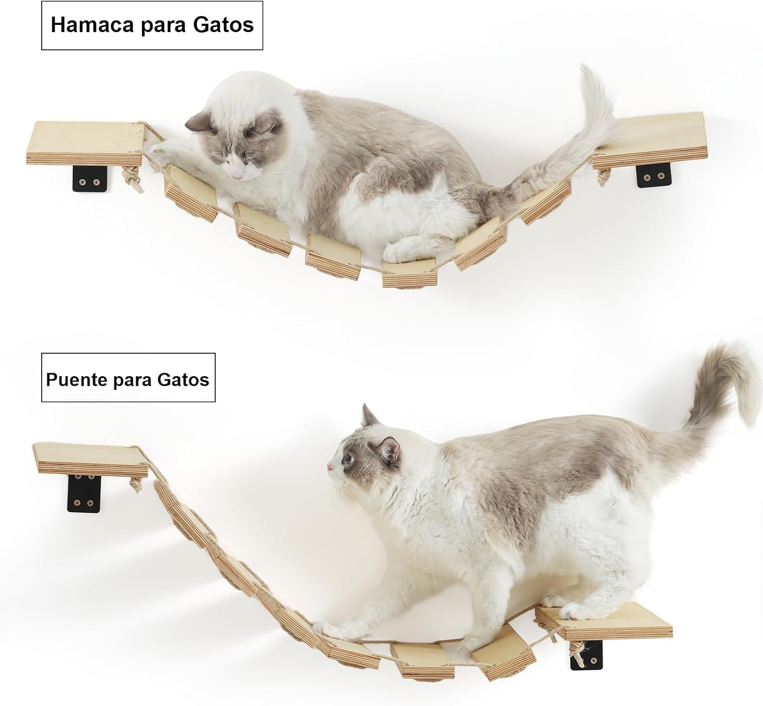 Ponte para gatos montada na parede