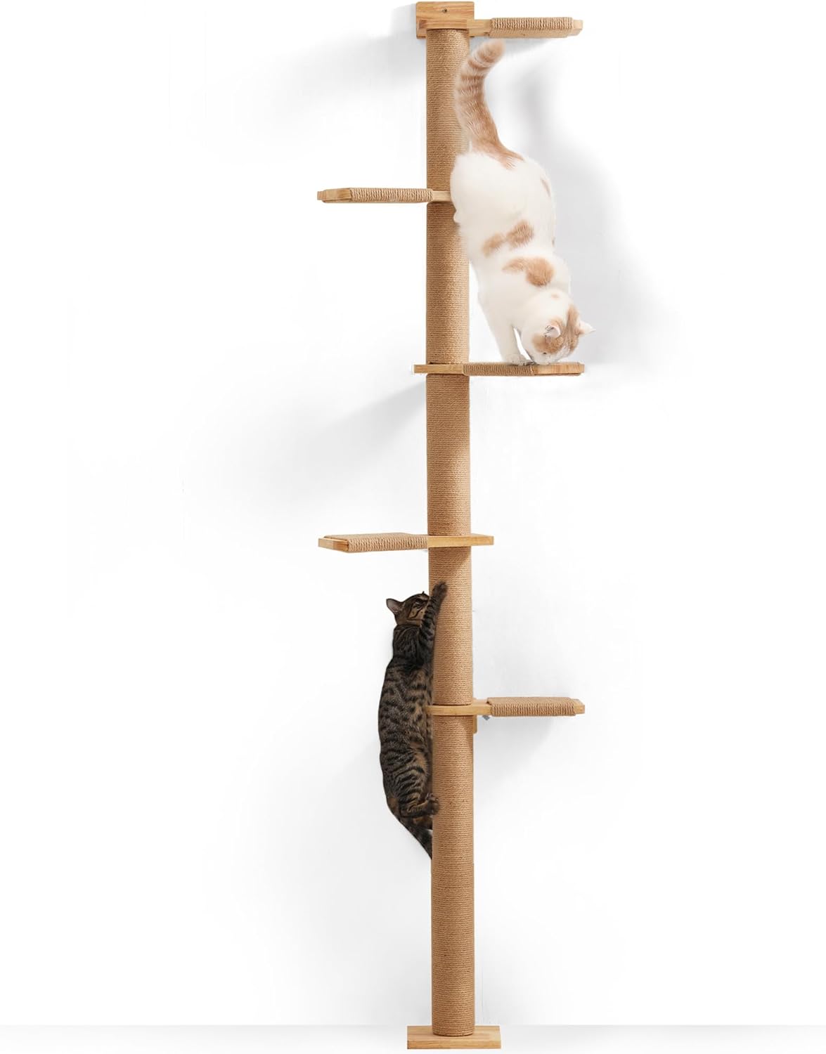 Estrutura de escalada para gatos (com 5 plataformas)