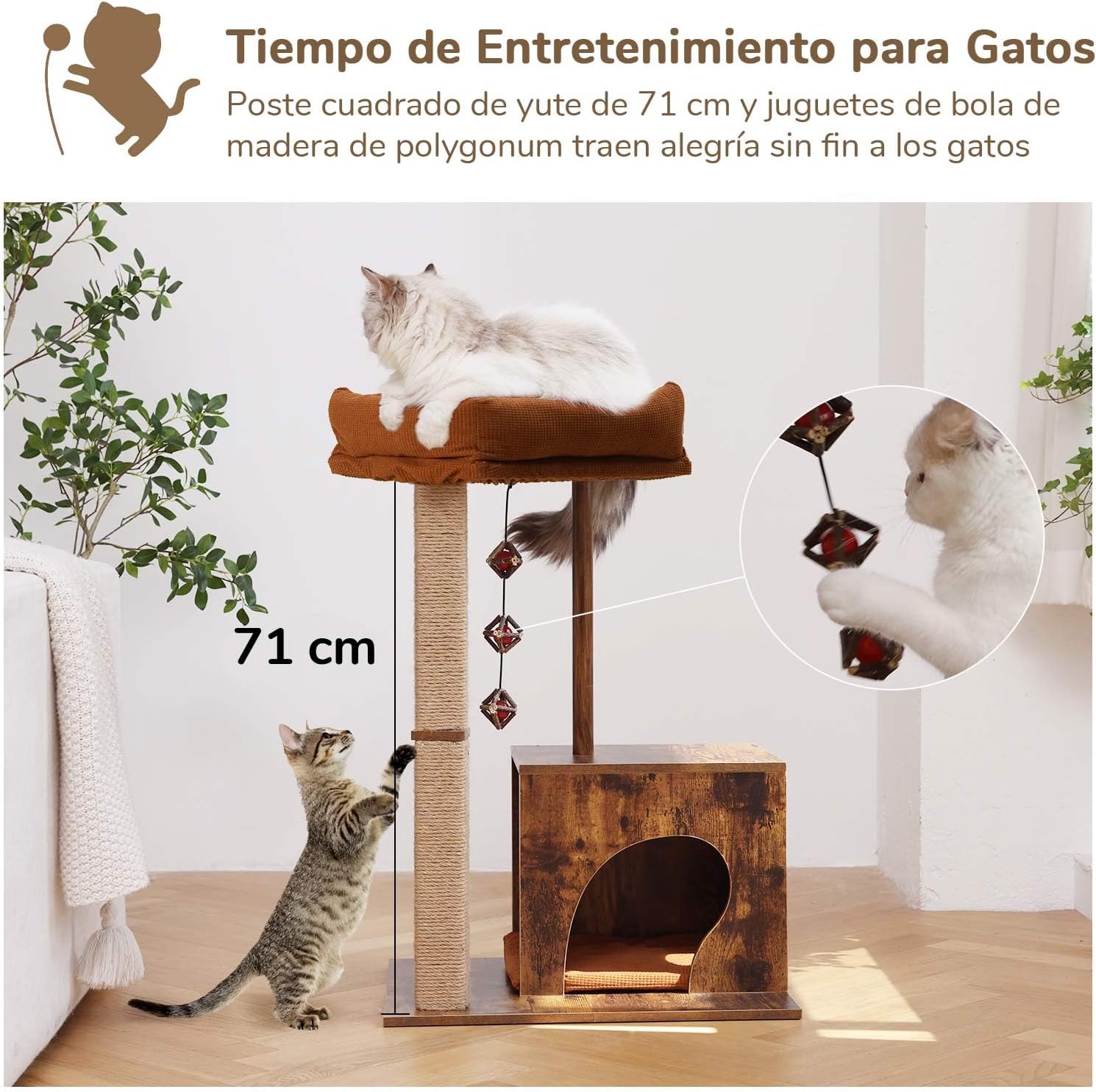 Estrutura de Escalada (Pequena)