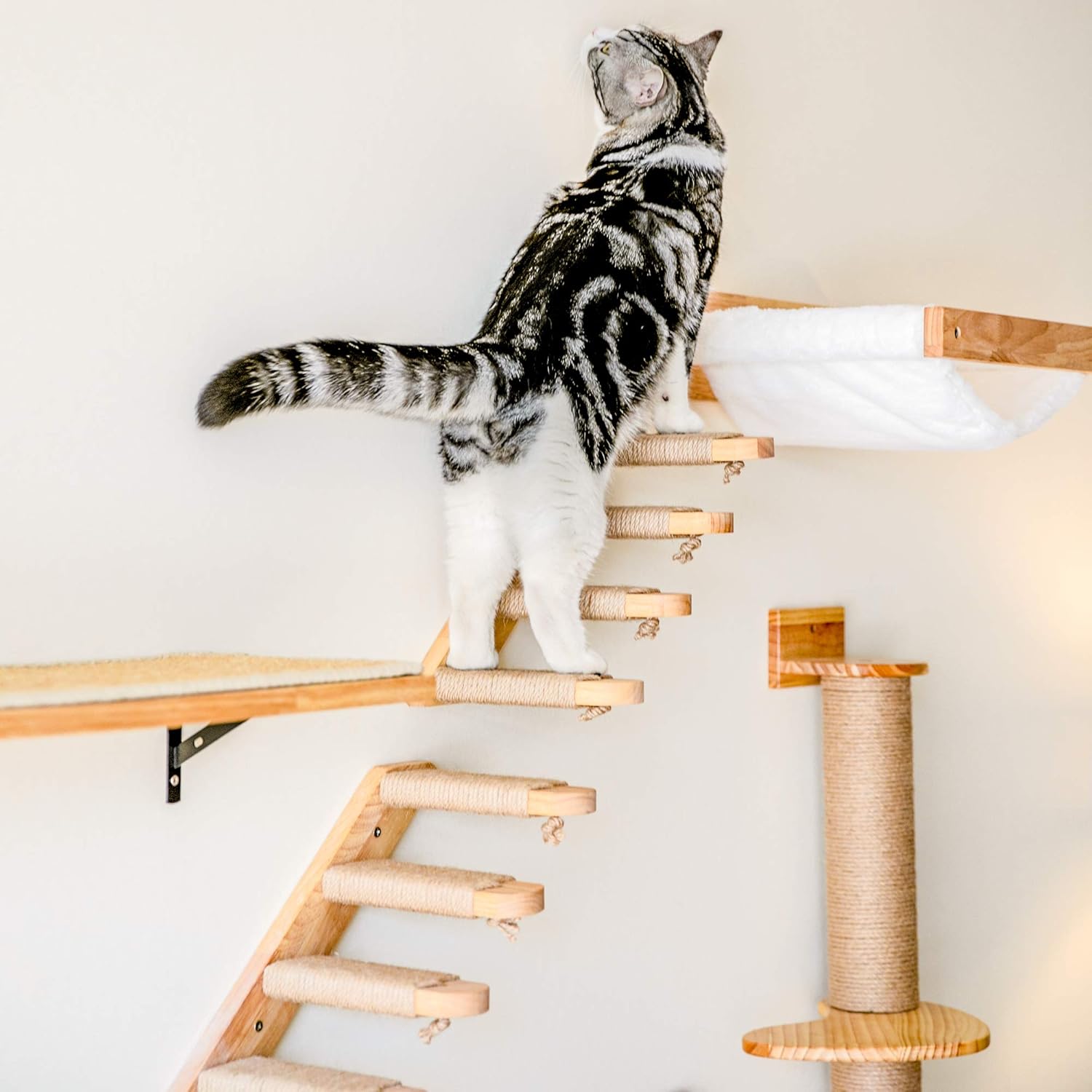 Prateleira de escalada (esquerda para a direita)