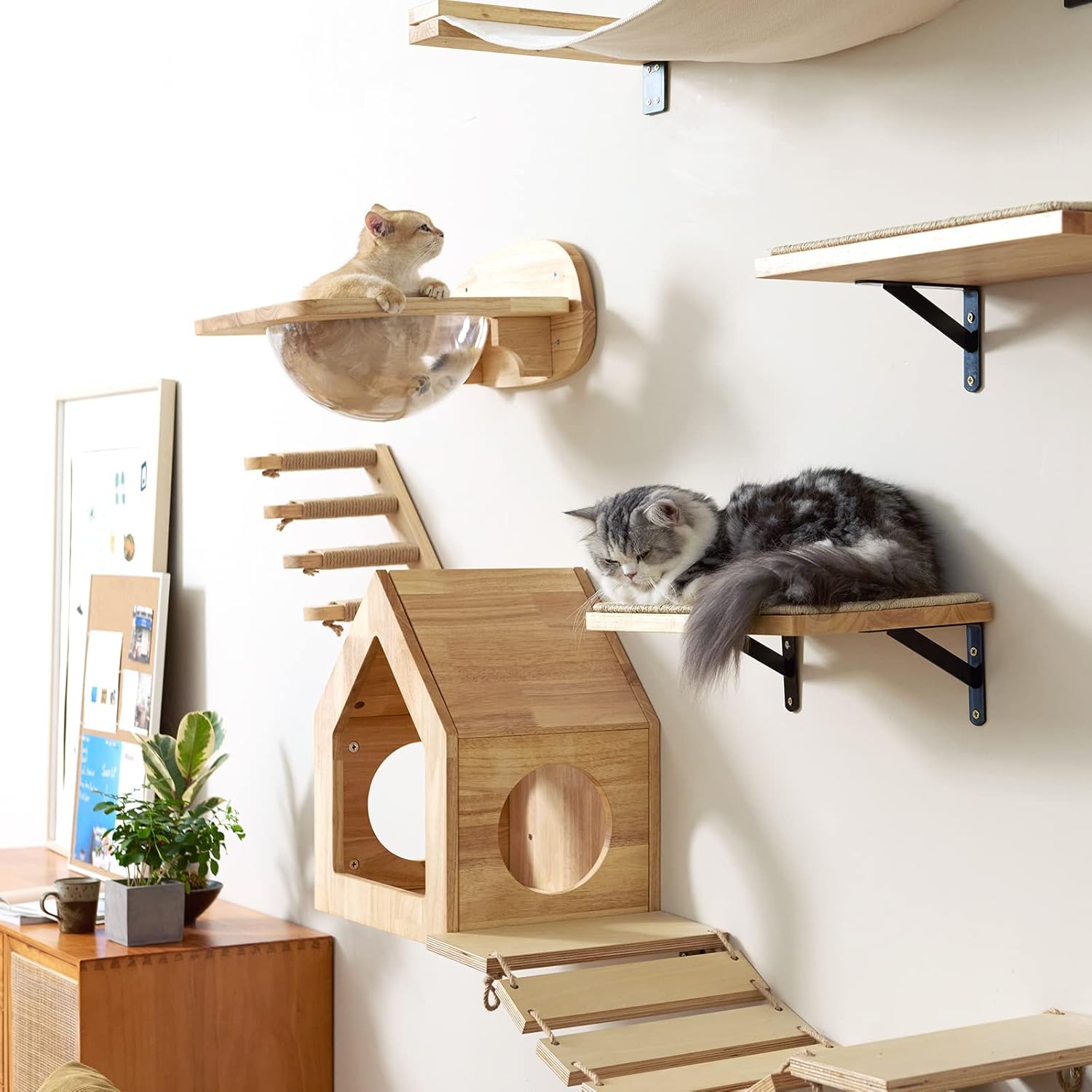 Parede de escalada para gatos