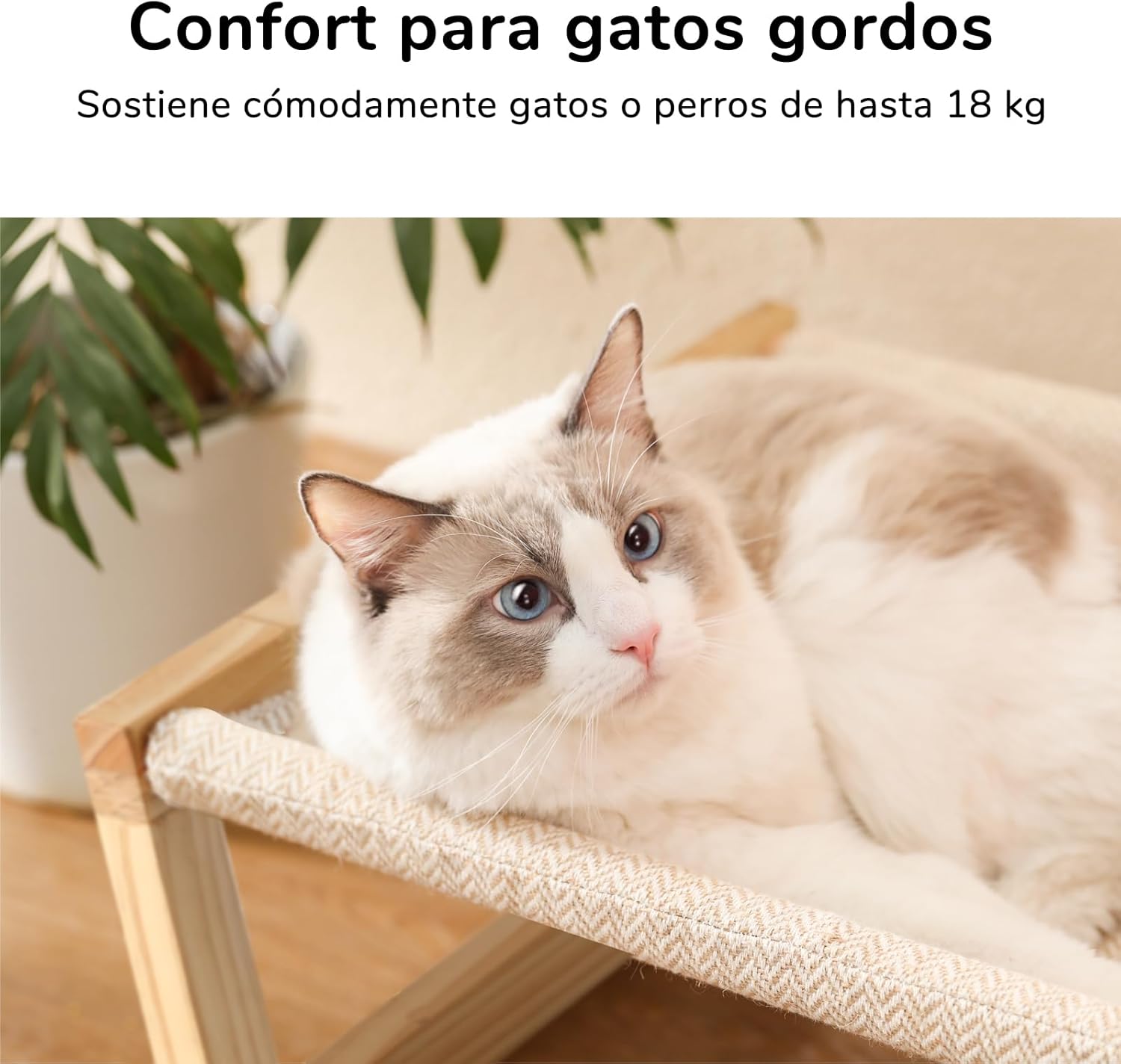 Cama Quadrada de Pinho