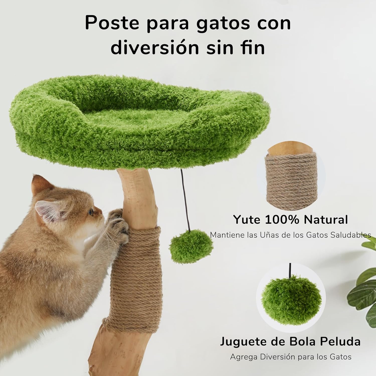 Série Natural, Estilo Coluna Única