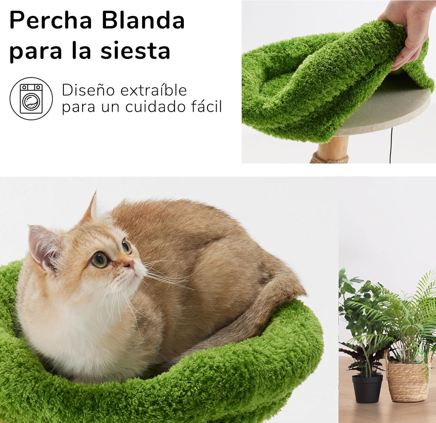 Série Natural, Estilo Coluna Única