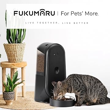 Comedouro Automático com Câmara, Áudio e Wi-Fi – Cor Preta