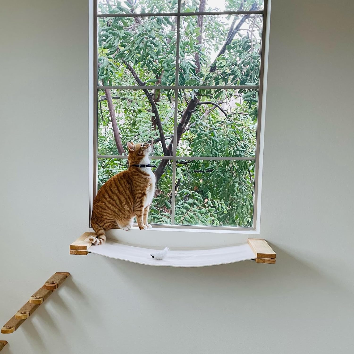 Redes para gatos (Tala/ Compensado)