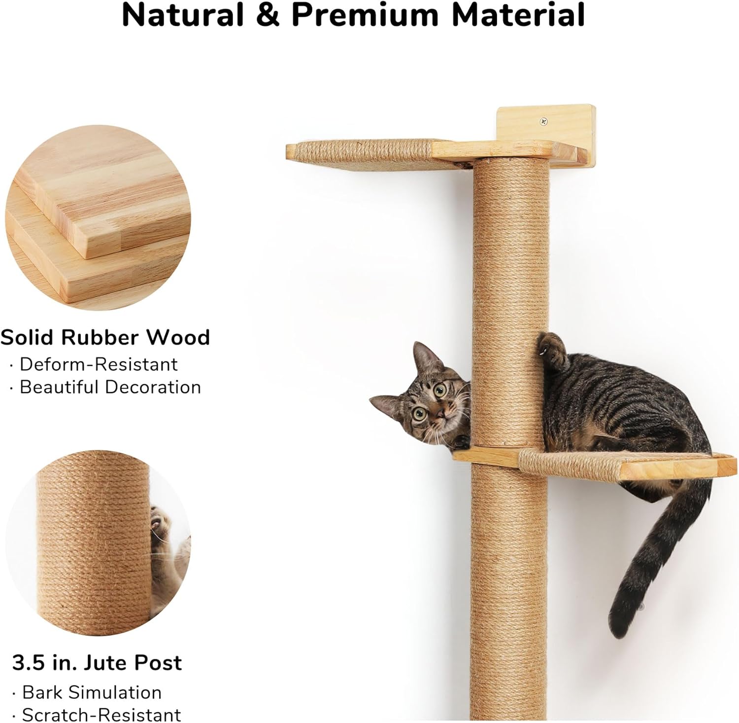 Estrutura de escalada para gatos (com 5 plataformas)