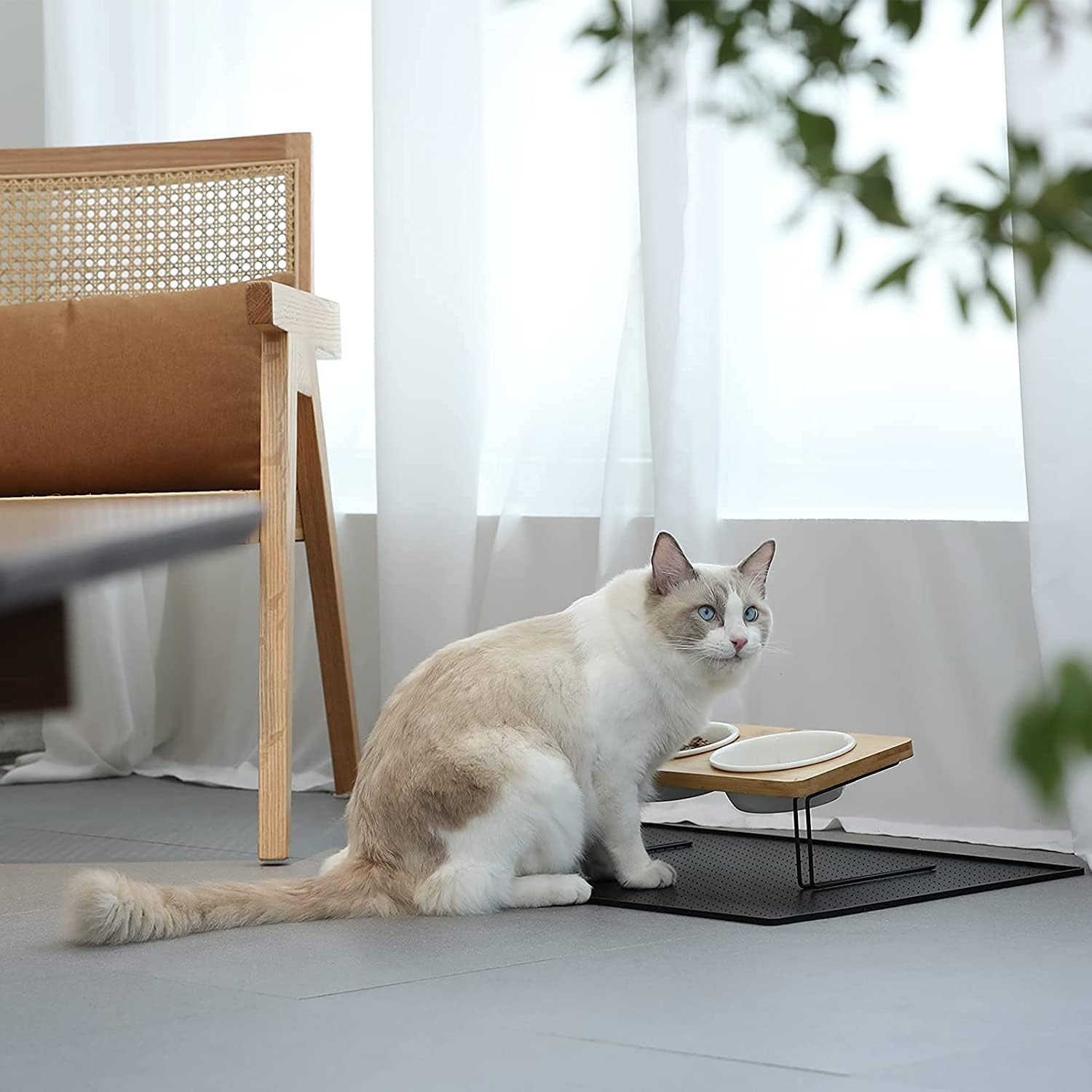 Taças Duplas para Gato em Cerâmica