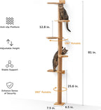 Estrutura de escalada para gatos (com 5 plataformas)
