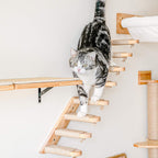 Prateleira de escalada (esquerda para a direita)